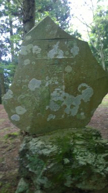 WP_20160503_13_12_00_Pro__highres