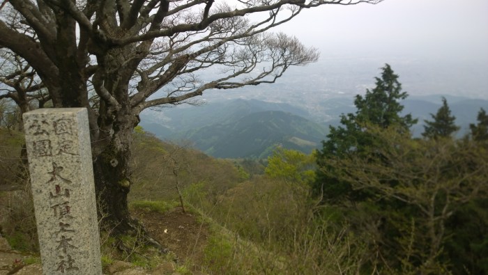 WP_20160503_14_55_54_Pro__highres